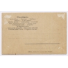 Mexico: Maguey Agave Pulgue Harvest Sombrero / Ethnic (Vintage RPPC 1910s)