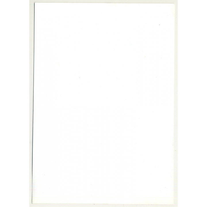 Natural Brunette Hippie Beauty On Meadow *2 / Coat (Vintage Photo Master 1970s Fashion)