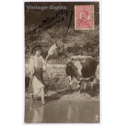 Romania: Traditional Costume Cow / Postally Used Craiova To Spain (Vintage RPPC 1916)