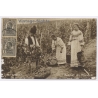 Romania: Vineyard Grape Harvest Culesul Strugurilor Nationa Costume/ Postally Used To Mallorca (Vintage RPPC 1914)