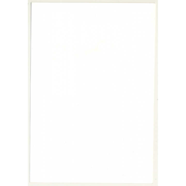 2 Female Photo Models In Costly Brocade Gowns (Vintage Photo Master 1970s Fashion)