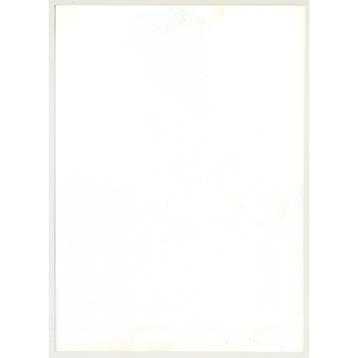 Female Model In Patchwork Gown / Brocade (Vintage Photo Master 1970s Fashion)