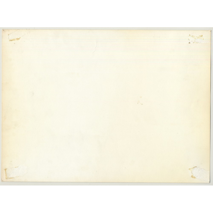 Portrait Of Goodlooking Nude Man / Photo Art - Gay Int (Vintage Photo 1970s Large)