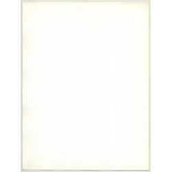 2 Wild Female Models In White Dresses / Legs - Shouting (Vintage Fashion Photo 1980s Large)