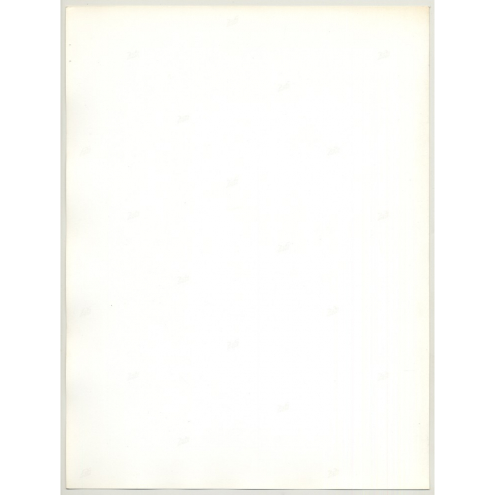 2 Wild Female Models In White Dresses / Legs - Shouting (Vintage Fashion Photo 1980s Large)