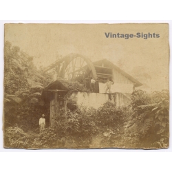 Australia: Tamborine Mountain Water Wheel Sawmill / Piggott Foto (Vintage Albumen Print ~1890s)