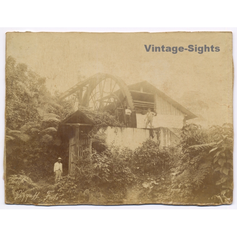Australia: Tamborine Mountain Water Wheel Sawmill / Piggott Foto (Vintage Albumen Print ~1890s)