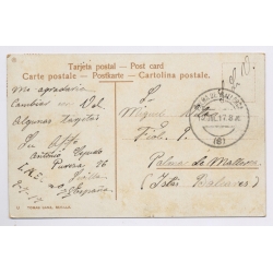 Andalucia / Spain: Olive Harvest Postcard Collector Exchange Miguel Vila Mallorca (Vintage PC 1917)
