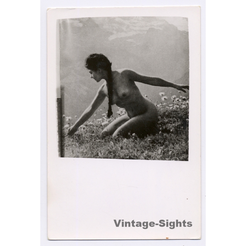 Natural Nude Female With Ponytail Kneeling On Meadow In the Alps (Vintage RPPC ~1930s/1940s)
