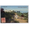 North Africa: Junto Al Mar Lehnert & Landrock R.E.C.P. Exchange Club To Miguel Vila Mallorca (Vintage PC 1915)
