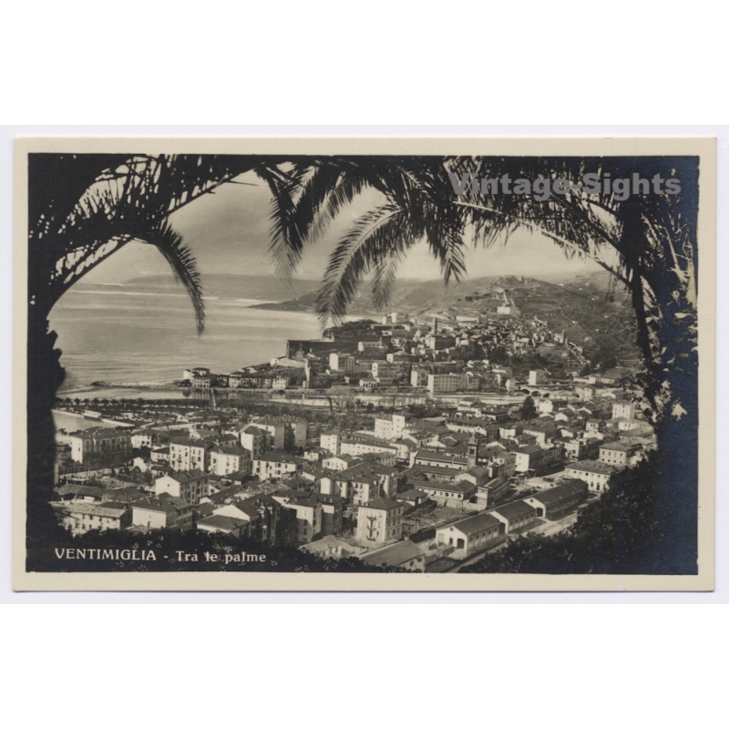 Ventimiglia / Italy: Panorama Palm Trees Coastal View (Vintage RPPC ~1920s/1930s)