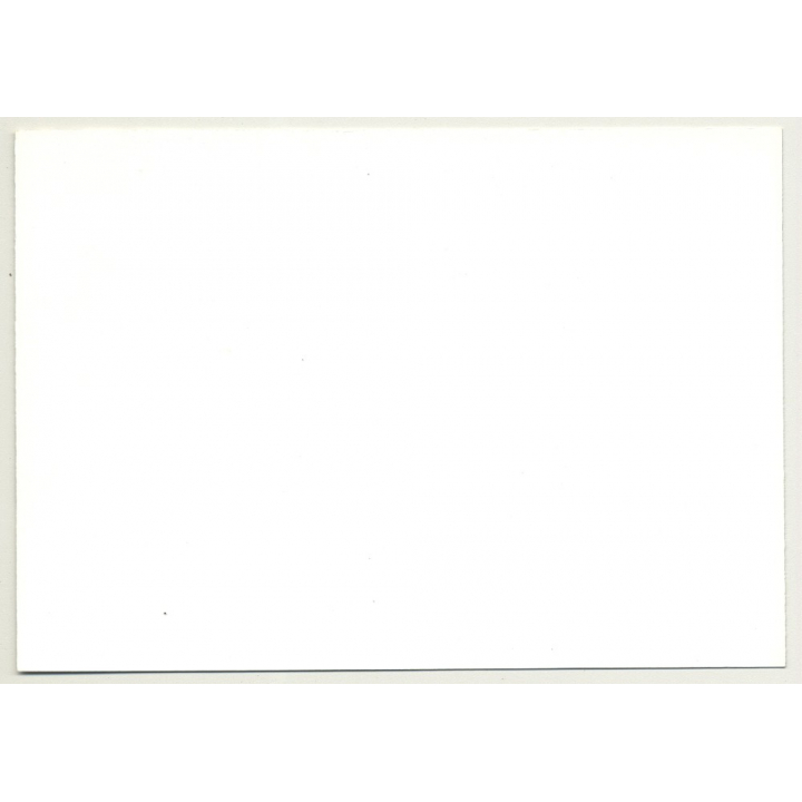 Blonde Nude Lingers On Psychedelic 70s Carpet / Legs (Vintage Photo DDR 70s/80s)