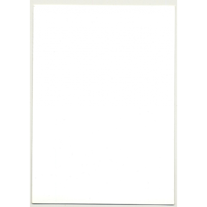 Pretty Natural Woman On Stool / Lingerie - Fishnets (Vintage Photo DDR 70s/80s)