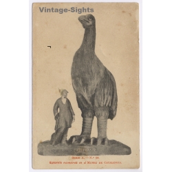 Barcelona / Spain: Aepyornis Elephant Bird Reconstruction Museu Catalunya (Vintage PC ~1910s/1920s)