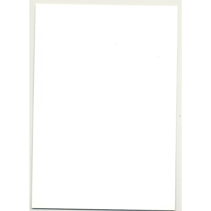 Natural Busty Woman Sits On Bed *2 / Fishnets (Vintage Photo DDR 70s/80s)