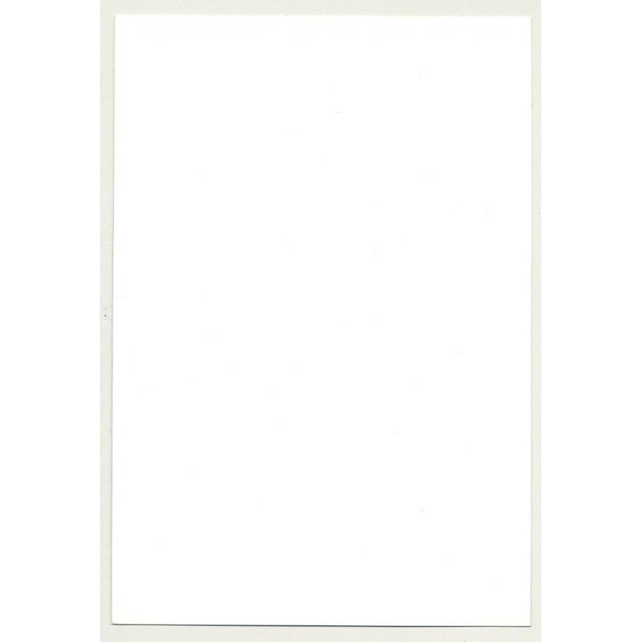 Rear View Of Woman's Butt In Fancy Lingerie *2 / Fishnets (Vintage Photo DDR 70s/80s)