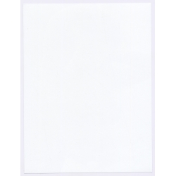 Erotic Study: Natural Topless Black Female With Dread Locks (Digital Photo Print 20 x 15 CM ~2000s)