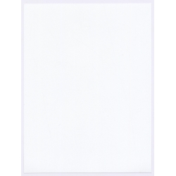 Erotic Study: Rear View Of Curvy Dark-Haired Nude Female (Digital Photo Print 20 x 15 CM ~2000s)