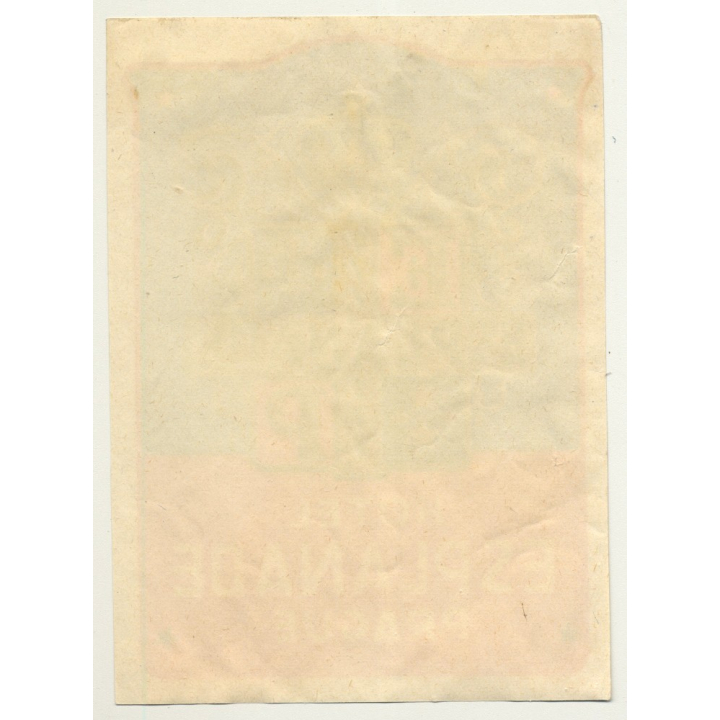 Hotel Savoy - Esplanade / Czech Republic (Vintage Luggage Label) Prag Prague