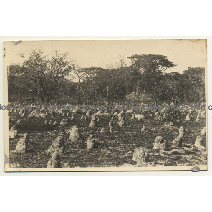 Congo Belge: Landscape With Termite Hills / Léopold Gabriel? (Vintage RPPC ~1920/1930s)