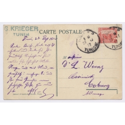 Lehnert & Landrock Nº525: La Récolte Des Dattes / Ethnic (Vintage PC 1912)