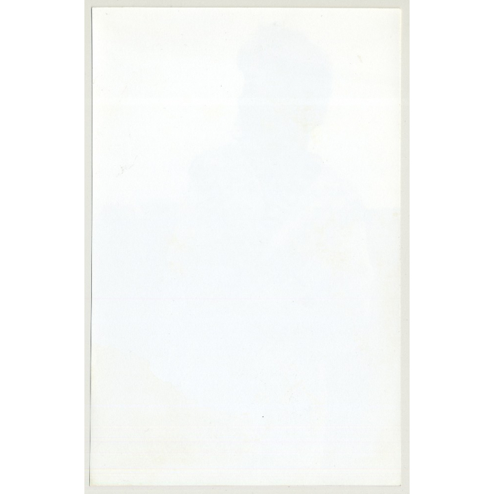 Female Model In Patchwork Gown / Brocade (Vintage Photo Master 1970s Fashion)