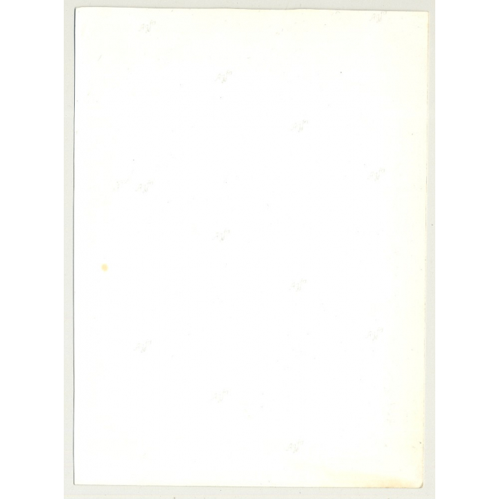 Nature: Close-Up Of Toadstool / Fliegenpilz (Vintage Photo Master ~23 x 17 CM)