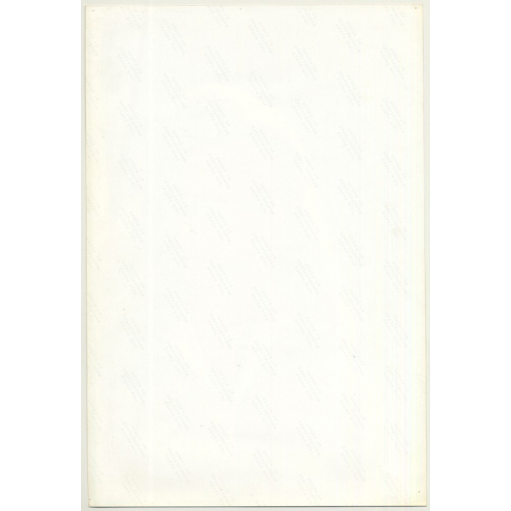 Promotional Hair Photo: Blonde Woman (Vintage Photo Germany 1980s)