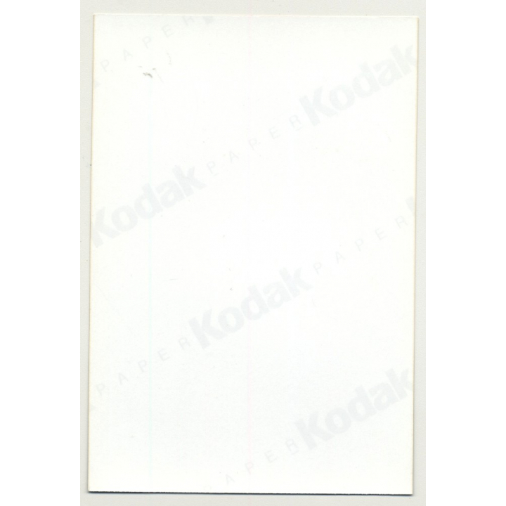 Busty Darkheired Nude On Bed / Sheets (Vintage Photo Germany 1980s)