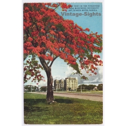 Manila / Philippines: Fire Tree Luneta Hotel Rizal Monument (Vintage PC ~1920s/1930s)
