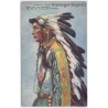 Hiawatha's Friends Kwasind Native American Ethnic (Vintage PC 1907)