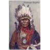 Chief Iron Owl Native American Oilette (Vintage PC ~1910s)