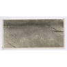 Orange Free State (South Africa): San Bushman Rock Art Cave Paintings Animals (Vintage Photo 1950s)