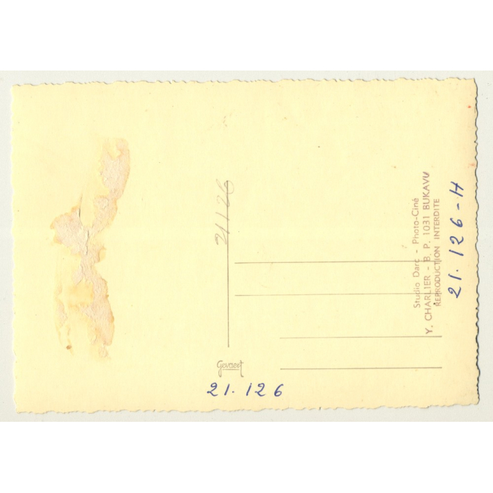 Congo Belge: 2 Indigenous Kitchen Workers (Vintage RPPC Studio Darc Y. Charlier)