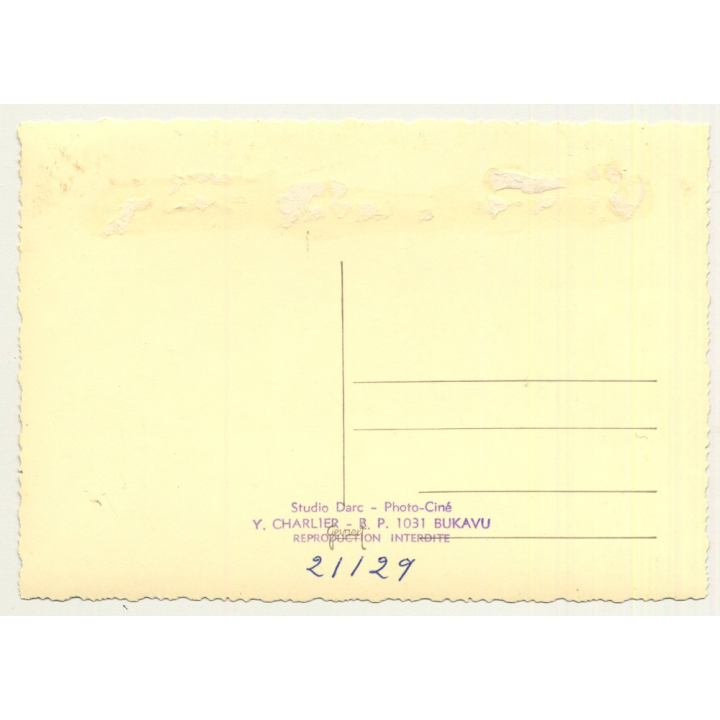 Congo Belge: 3 Indigenous Waiters / Servants (Vintage RPPC Studio Darc Y. Charlier)