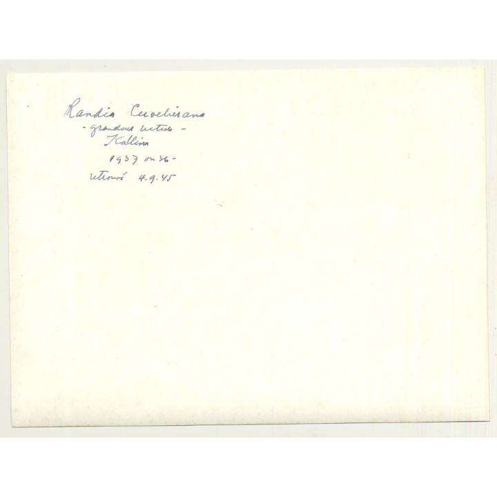 Plant Study: Randia Cuvelierana (Vintage Photo B/W 1945 Congo?)