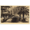 Congo: Group Of Indigenous People On Diagonal Pam Tree (Vintage Photo Sepia ~ 1920s/1930s)