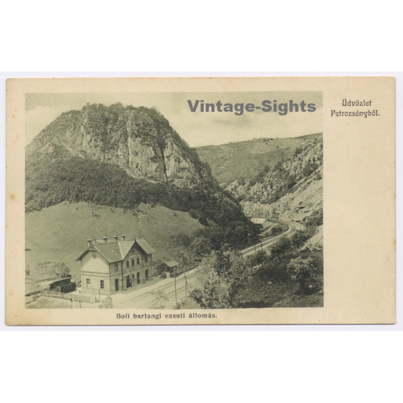 Petrosani Petroszeny / Romania: Boli Cave Railway Station Train Line (Vintage PC 1908)