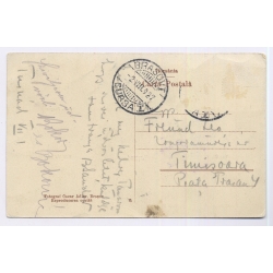Baile Tusnad / Romania: Multi View Oscar Adler Brasov Cursa I Postmark Timisoara (Vintage PC 1927)