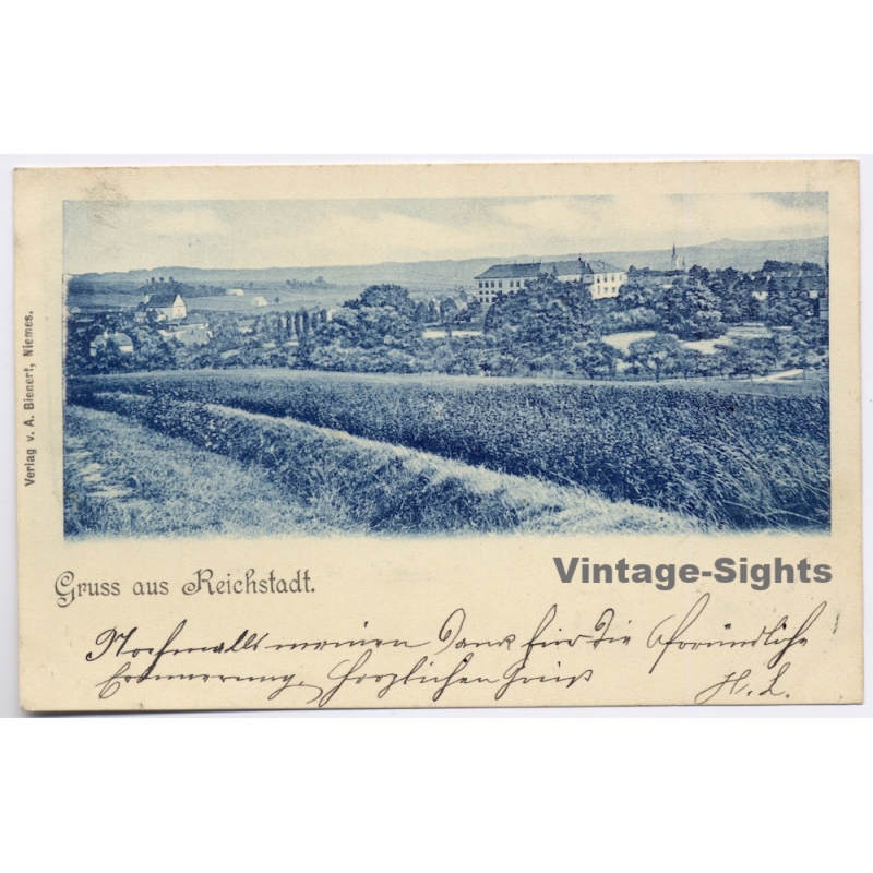 Reichstadt Zakupy Bohmeia / Czechia: Panorama Bienert Niemes Vienna Stamp (Vintage PC 1899)