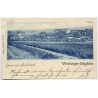 Reichstadt Zakupy Bohmeia / Czechia: Panorama Bienert Niemes Vienna Stamp (Vintage PC 1899)