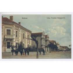 Bjelovar / Croatia: Ulica Teodora Georgievica Street Hotel Toma  Lav Weiss (Vintage PC ~1910s)