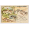 Switzerland: Gruss Aus Dem Weissbad Appenzell (Vintage PC Litho 1901)