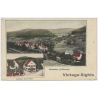 Neulautern / Germany: Panorama View Kaufmann Carl Kircher (Vintage PC 1908)