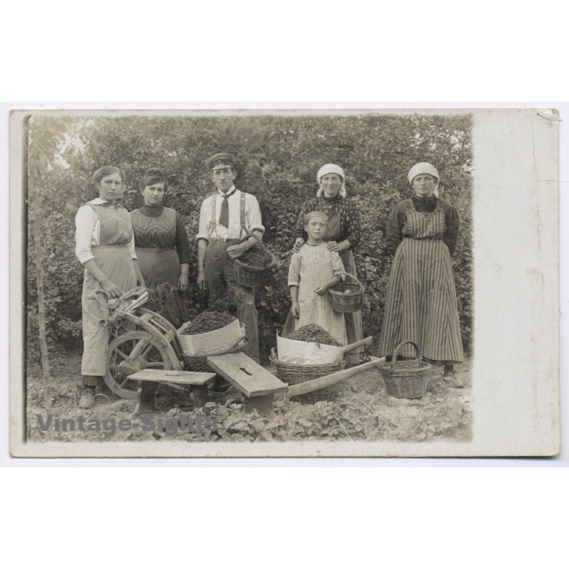Germany: Fruit Berry Harvest Agriculture Family Wheelbarrow (Vintage RPPC ~1910s)
