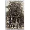 Germany: Cherry Harvest Fruit Orchard Farm Workers Family Ladders Dog (Vintage RPPC 1910s/1920s)