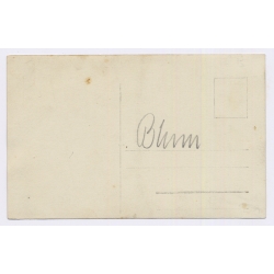 Germany: Cherry Harvest Fruit Orchard Farm Workers Family Ladders Dog (Vintage RPPC 1910s/1920s)