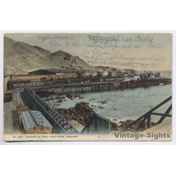Chile: Caleta Coloso Muelle Pier - Antofagasta Nitrat Port (Vintage PC 1911)