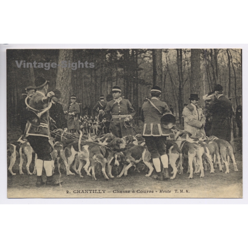 France: Chantilly Chasse à Courre Meute - Hunting Hounds Horns (Vintage PC ~1910s)