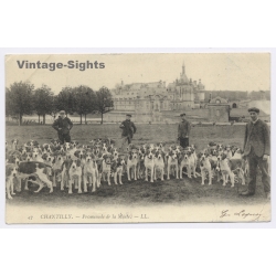 France: Chantilly Promenade de la Meute - Chateau Hunting Hounds (Vintage PC 1904)